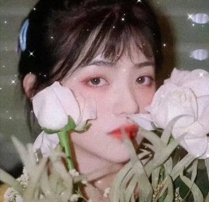 血战残阳