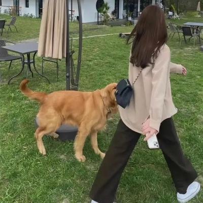 墙里的女人